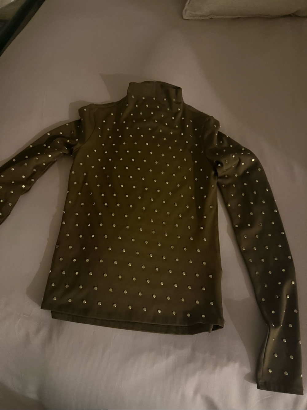Brown Studded Long Sleeve Turtleneck Top